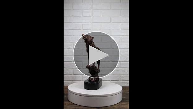 Amazon.com: Ebros Gift Midnight Howl Alpha Gray Wolf
