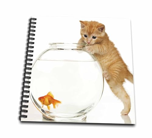 3dRose Almost Can Reach Says Kitten-Memory Book, 12 by 12" (db_54107_2)