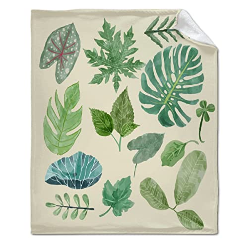 ARTBLANKET Botanical Clipart Green Leaves Throw Blanket Fannel Fleece Super Soft Funny Blanket Travel Throw Blanket for Bed Couch Sofa 60x50 in for Teen Car