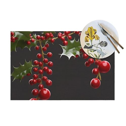 Set de table houx résistant à la chaleur lot de 6 lavable pour repas de fête