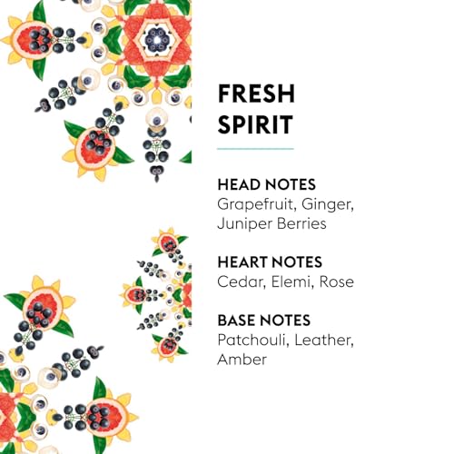 Image of MAISON BERGER Car Diffuser Set, Fresh Spirit | Grapefruit Ginger Cedar Notes, Refillable Vent Clip with Ceramic Refill, Passive 4-Week Diffusion, Made in France