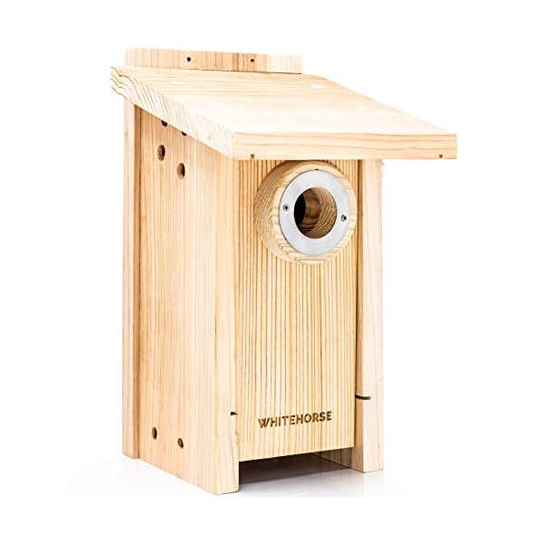 WHITEHORSE Premium Cedar Bird House - Weatherproof Design with a 15 sq inch Floor - A Bluebird Box House Built to NABS Specs - Enjoy Bird Watching While Supporting Birds (EABL)