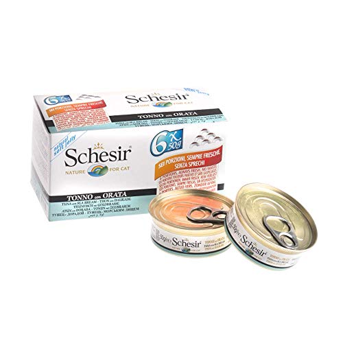 Schesir Cat Jelly Thunfisch mit Goldbrasse, Katzenfutter nass in Gelee, 1 x 6 Dosen x 50 g