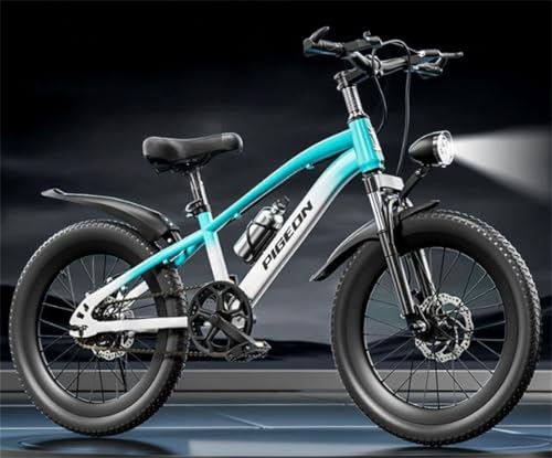 �yXXA�z2025�ŐV �������]�Ԓj�����p 6-19�Β����w�N�����N�p ���y�ʍ��ϋv�}�E���e���o�C�N ���Y�f�|�t���[�� �_�u���f�B�X�N�u���[�L �o�������ɏ� 7�i�ϑ� �}�O�l�V�E��������̗� �ʊw�E���O���W���[���p ���S�@�\���� ?�s����� (�u���[