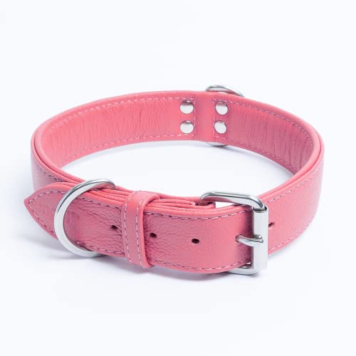Alpine Plain Dog Collar By Angel™. 26" X 1.25", Bubblegum Pink #TOP2