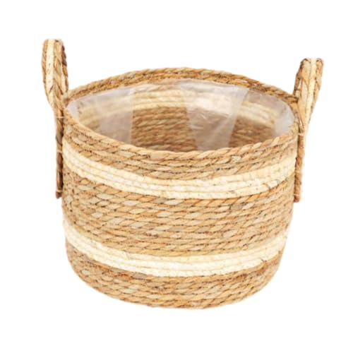 MFMEXUL Aؔ|[`VFt̃nht̐Aɂӂ̑{ꂽD̃oXPbg, 29x21cm