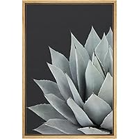 SIGNWIN Framed Canvas Wall Art Agave Parryi Huachucensis Wakefield in Black Background Botanical Succulent Photography Realism Modern Closeup for Living Room, Bedroom, Office - 16