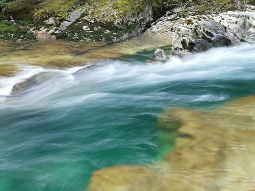 1000 Piece Jigsaw Puzzles per Adulti e Bambini da 14 anni-Fiume,Ruscello,Corso,Pietre,Muschio 75x50cm