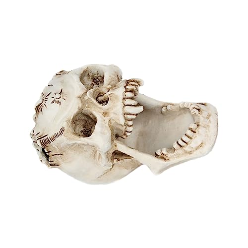 STOBOK Portalápices Calavera Limpiador Taza Organizador De Cajones De Cocina Cepillo Para El Pelo Servilletero Organizador De Cosméticos Contenedor De Pluma Rota Cuchillería Resina
