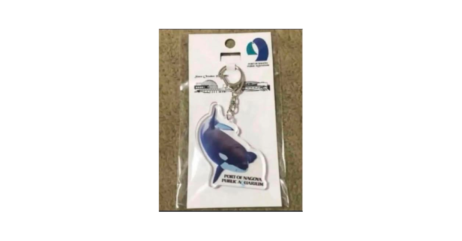 41AigtcvHBL.jpg_BO30,255,255,