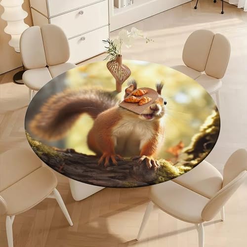 Nappe de table écureuil imperméable extensible nappe cuisine ronde infroissable fête