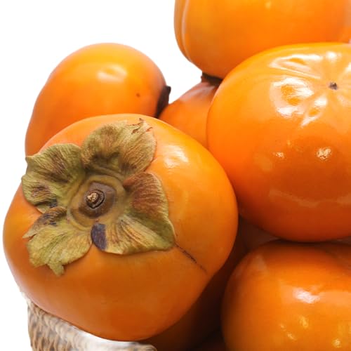 Y` mY ǕiI 3.5kg 15`18ʑO O݂͂̂̂ Ƃт肨`̉l uh`