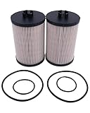 FridayParts Fuel Filter FS19947 Compatible for Fleetguard MaxxForce Engines Replacement (2 pcs)