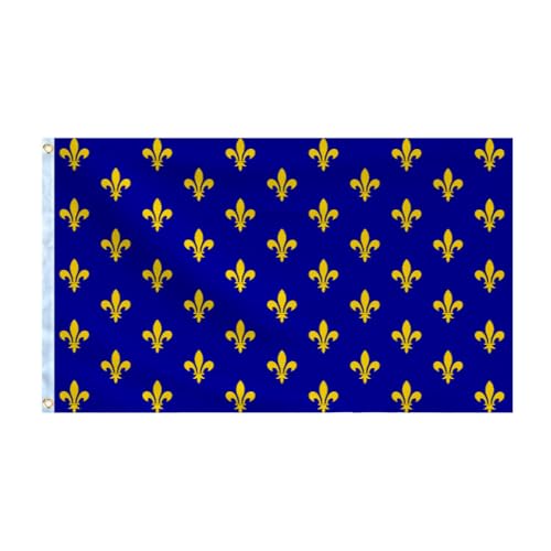 Drapeau Fleur de Lis Bleu et Or - Royal Français du Royaume de France 150 x 90 cm