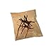 emours Aquarium Driftwood Tropical Fish Plant Habitat Decor Varies Size, Small & Large,2 pcs Pack