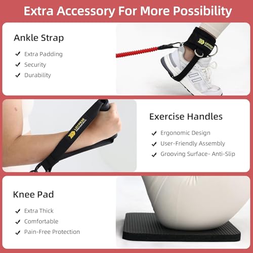 Adjustable Weight Bench for Home Gym