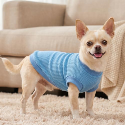 Image of 2 Pack Dog Shirt for Small Supplies Functional Waffle Dog Clothes Warm Soft Sweatshirt Outfit for Dogs Cats Pet Apparel