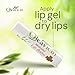Oleavicin Natural Lip Balm | Dry Lip Relief | Patented Moisturizing Formula for Chapped Lips | Organic Olive Leaf Extract