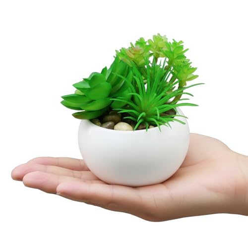 Image of KARP Artificial Potted Plants, 12Cm Height Mini Faux Succulent Flowers with White PVC Pots Home Decor, Artificial Ornamental Plant for Living Room, Office Desk & Bathroom, Decorative