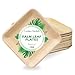 Concession Essentials 6 Inch Square Palm Leaf Dessert Plates -Bamboo Plates for Appetizers - Compostable and Eco-Friendly- Pack of 100ct 1
