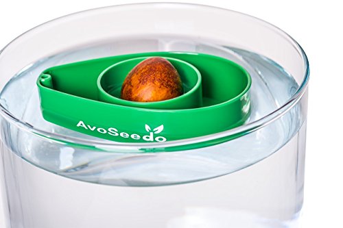 Avoseedo Avocado Tree Growing Kit, Practical Gifts For Women, Mom, Sister & Best Friend, Plant Indoors With Novelty Pit Grower Boat & Kitchen Garden Seed Starter (3Pack Green) #TOP3