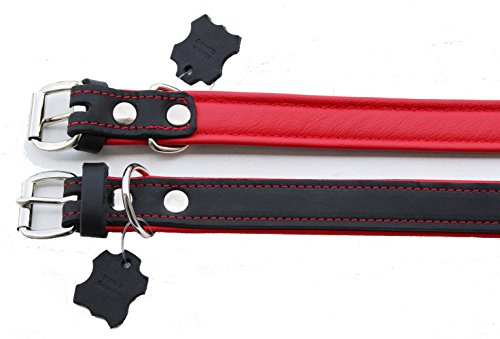 Activity4Dogs Luxus Hundehalsband aus Leder | für (mittel) große Hunde | 2,5 cm breit | gepolstert | 5-Fach verstellbar | Made in Germany | Echt-Leder Größe M1 schwarz-rot