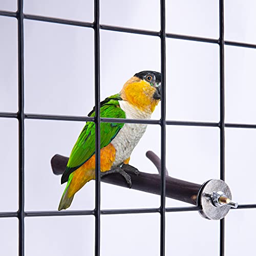 Deloky 8 PCS Natural Wood Bird Perch Stand-Wooden Parrot Perch Stand-Perch Platform Cage Accessories for Parrotlets… - Image 7
