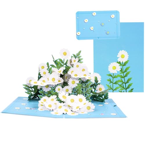 moin moin bZ[W J[h O[fBO |bvAbv Ԕ ԑ qiMN (~jJ[h +  Zbg) t[   яo 3D Mtg a LO v[g 2409me346