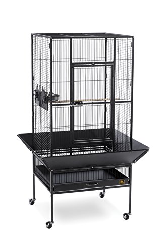 Park Plaza Bird Cage Black Hammertone