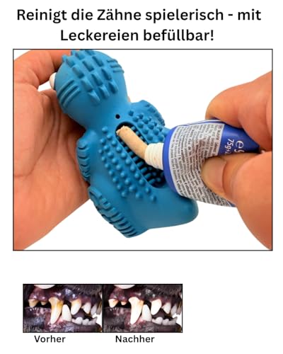 Generisch Hundespielzeug Gummi Dino – langlebiges Kauspielzeug für Hunde, Zahnpflege & Leckerli-Spielzeug, für kleine, mittlere & große Hunde