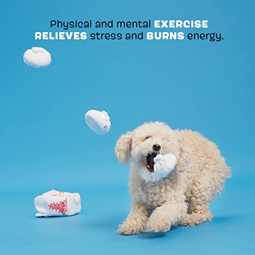 Barkbox 2 In 1 Interactive Plush Dog Toy - Rip And Reveal Dog Toy For Small, Medium, & Large Dogs - Stimulating Squeaky Pet Enrichment And Puppy Toys | Andi's Dumplings (Small) #TOP2