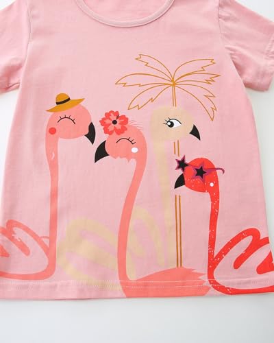 Image of Toddler Girls Summer Clothes Cotton Short Sleeve T Shirt and Short Set Girls Outfit 2 Piece
