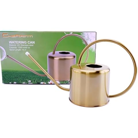 CHERAINTI Watering Can, Long Spout Watering Can for Outdoor and Indoor House Plants, Decorative Gold Colored Water Can for Bonsai Succulents and Garden, with Plastic Plant Mister 40oz - 1.3L Cover
