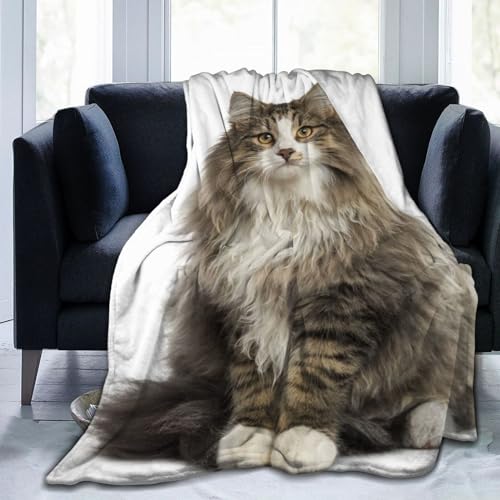 uPbg ѕz  킢 mEF[WtHXgLbg L Aj LN^[ ѕz tl y 唻 [΍ ӂ 􂦂 lGʗp