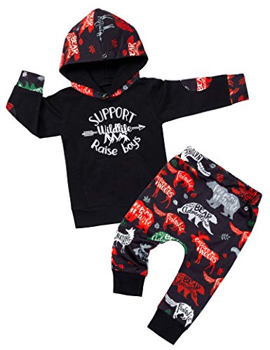 Baby Boy Clothes 0-6 Months Winter Outfits, Newborn Infant Baby Boy Clothes Outfits Long Sleeve Hoodie+Dinosaur Print Trousers 2pcs Sets
