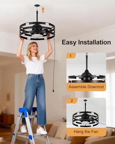 Image of Roomratv 20 inch Outdoor Ceiling Fan with Light, Black Caged Ceiling Fan with Remote,Modern Enclosed Hanging Fan,IP65 Waterproof Plug in Fan for Gazebos, Patios and Porches