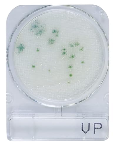 日水製薬 コンパクトドライVP 240枚