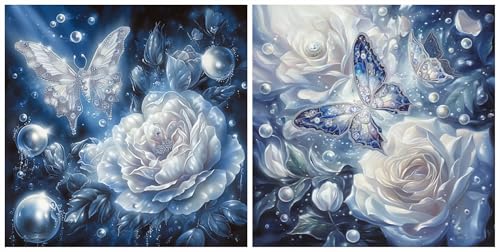 Peinture diamant papillons kit complet pour vaincre le stress à la maison