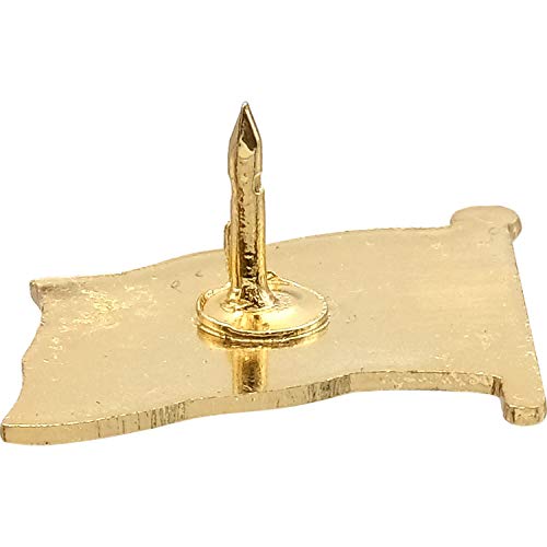 FindingKing USA Flag Lapel Pin Standard - Flag A-Series 3 with Longer Pole