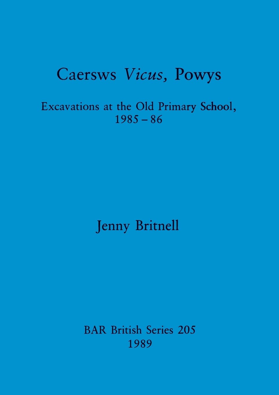 Caersws Vicus Powys: Excavations at the Old Primary School 1985-86: 205 (British Archaeological Reports British Series)