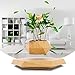 HCNT Levitating Plant Pot, Magnetic Levitation Flower Pot Rotating Planters Suspension Floating Plant Succulents Potted for Home Living Room Office Desk Decoration (Wood)