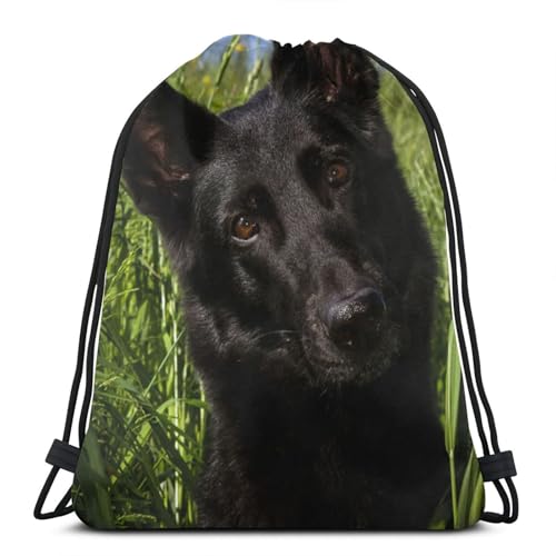 [zhandiffy] ̃W[}VFp[h WTbN ibvTbN ВobN obO e [֗ y  ^g[jOunisex eʋВ obNpbN