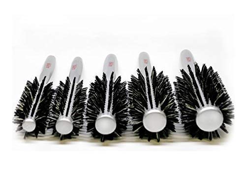 Professional Hair Brushes Neutral Boar Bristle European Wood (Silver)5Pc By Alpha new York