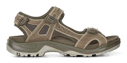 Image of ECCO, Men's Yucatan Outdoor Sandal, Sage, 12-12.5 Medium US