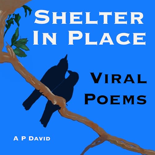 #47 &ndash; Bullroarer: The Breath Of Dionysus