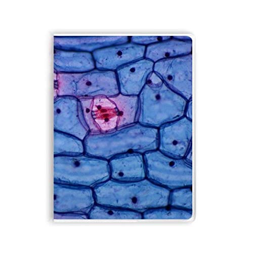 Carnet de notes nomade Plant Science Bioplast pour vos voyages