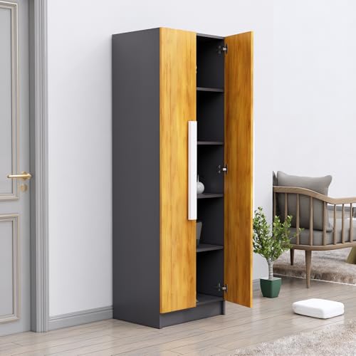 Image of Bniture Wooden Almirah for Clothes, Door for Bedroom, 2 Door Wardrobe with 4 Shelves Huge Storage Space (46D x 60W x 182H CM) | 3 Year Warranty (Slate Grey & Giant Wood)