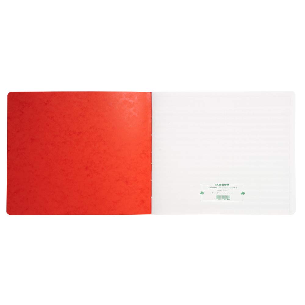 Exacompta 16130E - Registro contabile, lingua francese, 13 colonne, 80 pagine, 27 x 32 cm