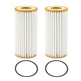 FlitLand HU6013z 06L115562B Engine Oil Filter Fit for Audi VW Porsche(2PCS)