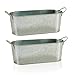 HdHStore Juego de 2 Jardineras Oval de Zinc y Asas, Color Metálico, Medida por Unidad 32.5x11x10.5 cm./Set de 2 Maceteros para Jardín, Ventanas, Patios